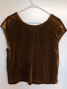 Gold Velvet Cap-Sleeve Top